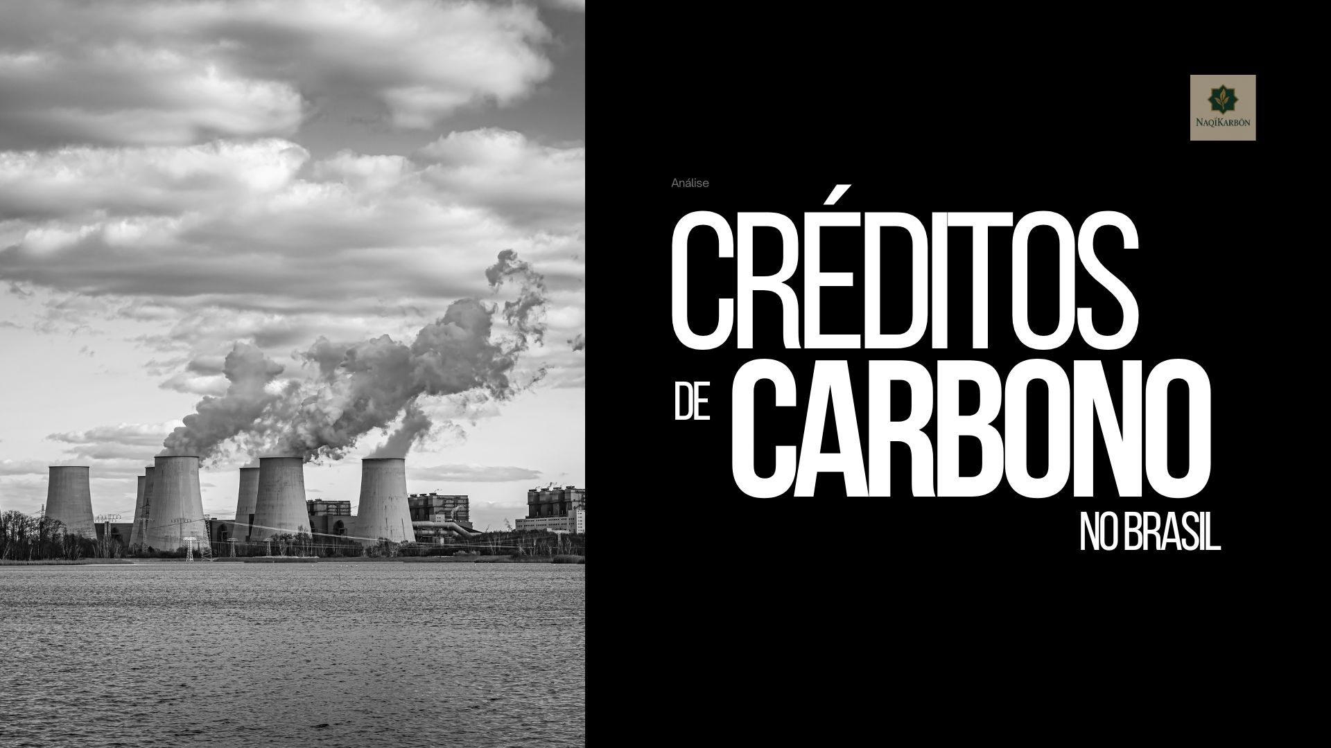 Créditos de Carbono no Brasil: uma análise de risco sistêmico e governança