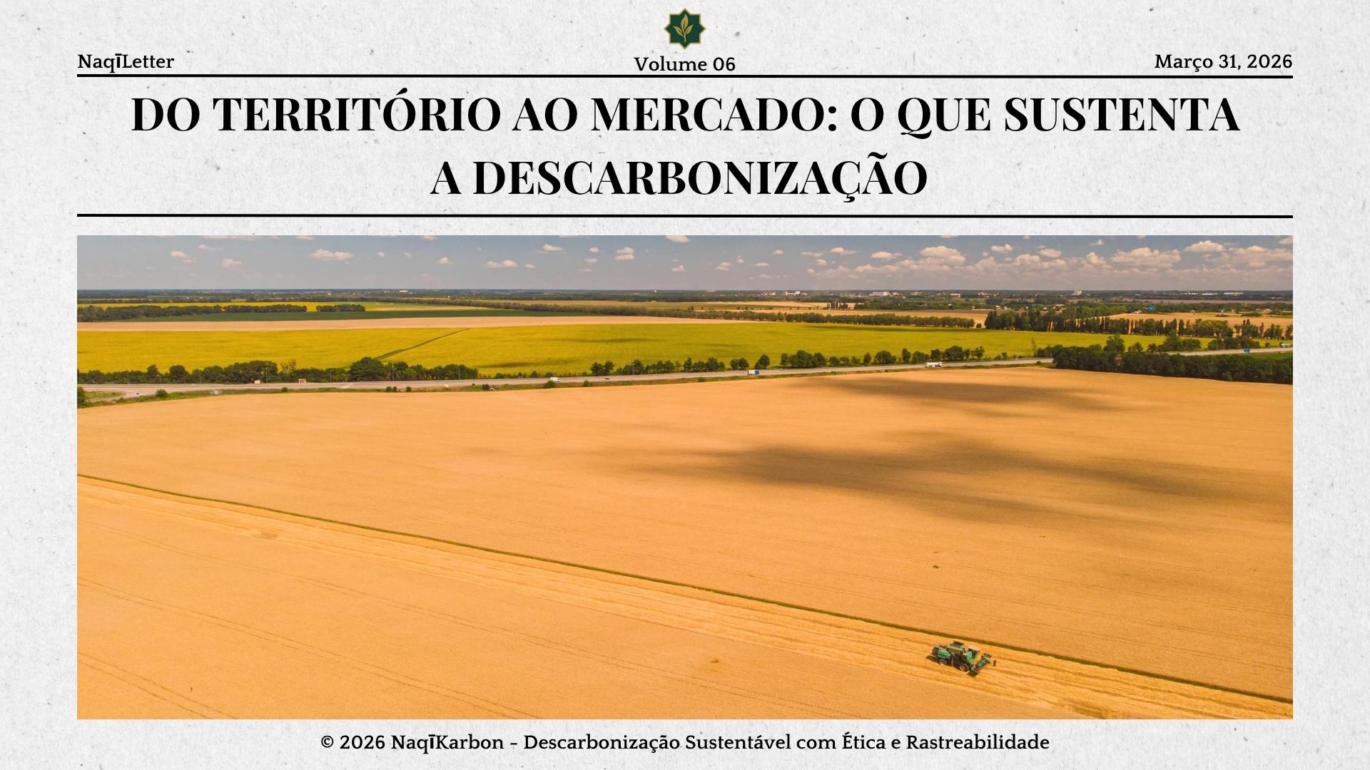 Do território ao mercado: o que sustenta a descarbonização